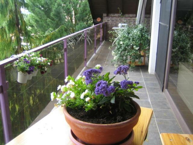 Ditscheid Ferienwohnung Virginija חדר תמונה
